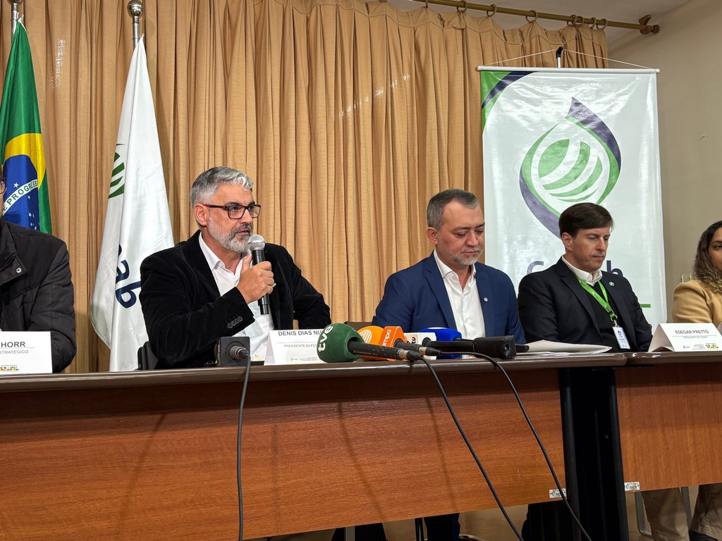 Conab compra de 110 mil toneladas de arroz para conter queda de preços