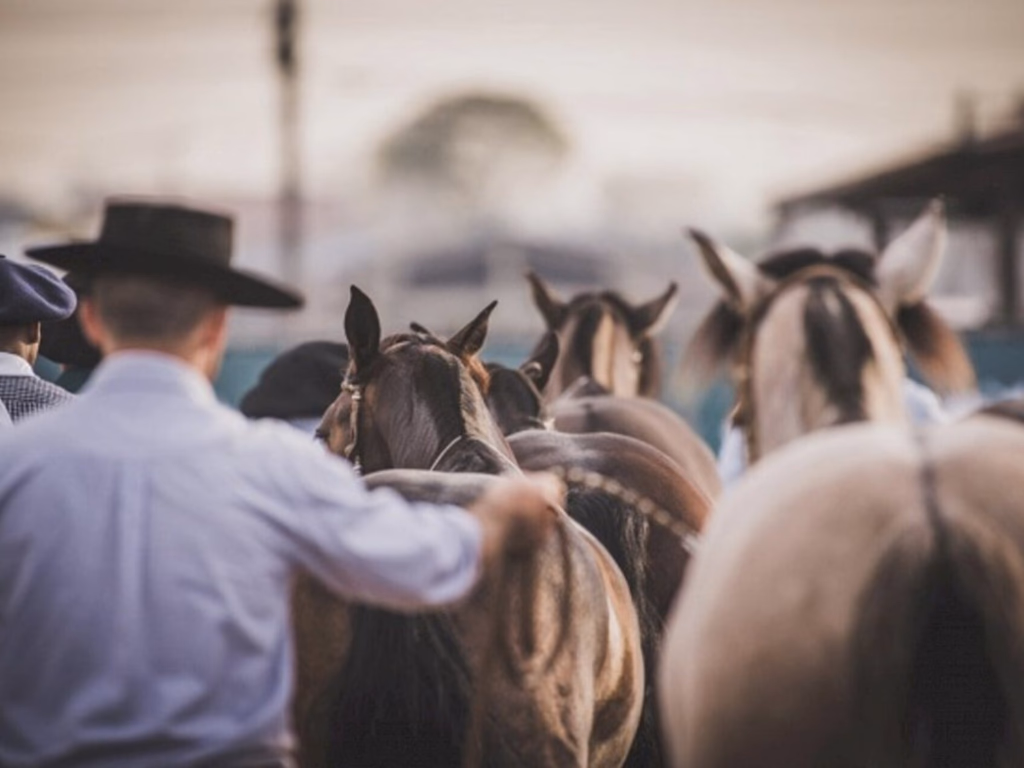 ABCCC suspende eventos no RS até 12 de março