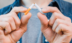 1º Pet Day movimentou o domingo em Uruguaiana