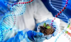 Nanossatélite desenvolvido pela UFSM e Inpe será lançado na segunda