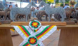 ABCCC define calendário de passaportes de outono