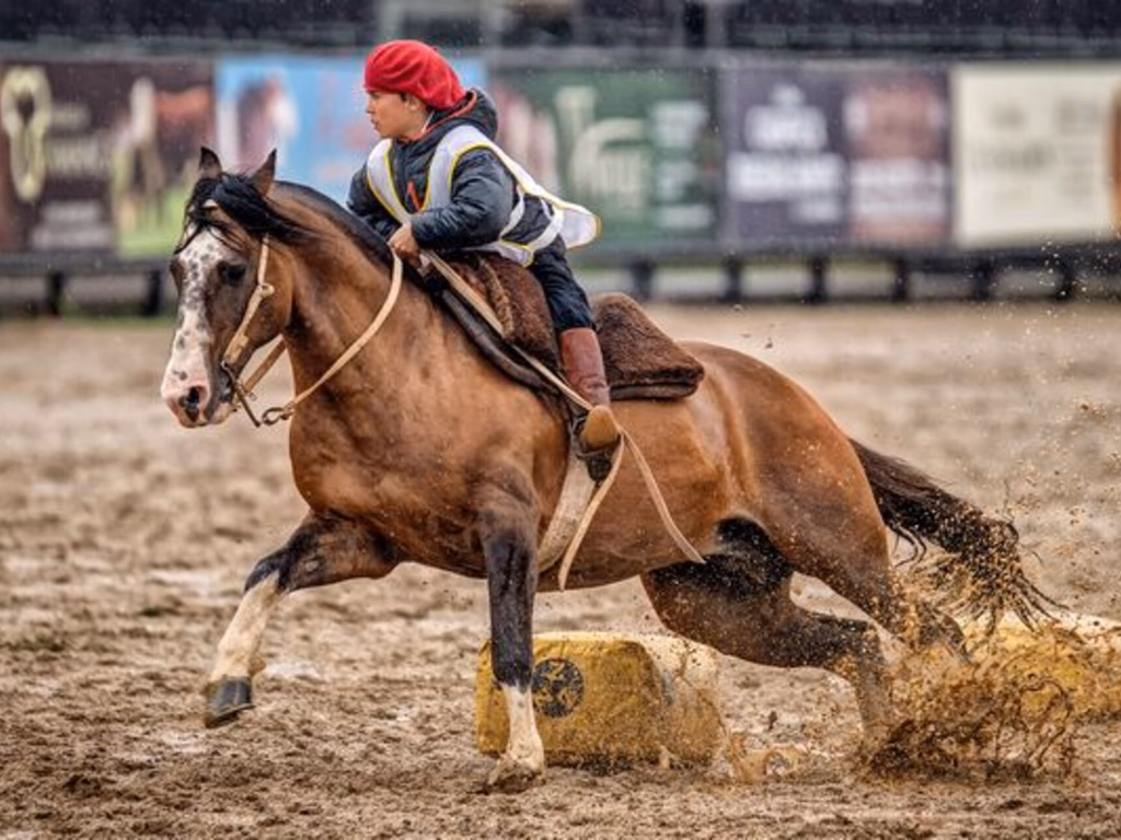 Freio Jovem encerra programação do Cavalo Crioulo na Expointer