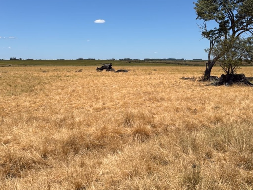 MIDR reconhece situação de emergência pela estiagem em Itaqui