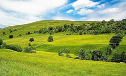 Farsul divulga parecer orientando sobre pagamento do ITR