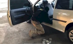 Golpes via redes sociais poderão ser considerados estelionato