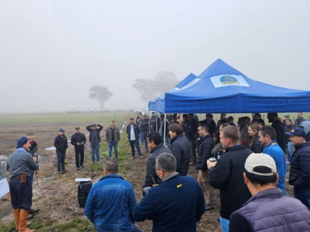 Uruguaiana sedia capacitação de Integração Lavoura-Pecuária em áreas úmidas