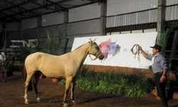 Expodireto Cotrijal é lançada em clima de otimismo