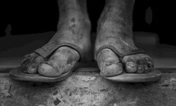 Museu da Comunicação promove ciclo de seminários online