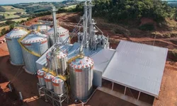 Começa a 32ª Abertura Oficial da Colheita do Arroz