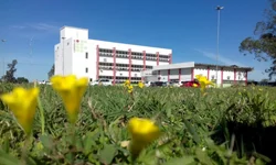 Fapergs divulga vencedores do Prêmio Pesquisador Gaúcho