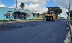 Uruguaiana chega a 10 casos de dengue