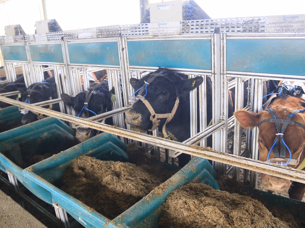 Vencedores da Prova de Eficiência Alimentar serão conhecidos no próximo dia 27