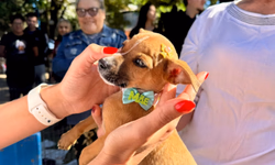 Cena Livre 2025: confira a programação de quarta a sábado em Uruguaiana