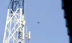 Safra de arroz bate recorde em produtividade