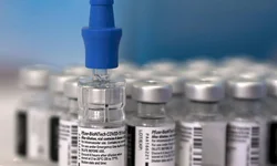 OMS classifica nova cepa do coronavírus