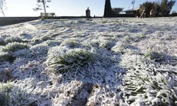 Município tem 13,2 mil recuperados