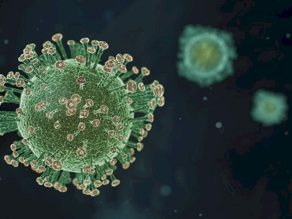 Variante Delta avança pelo país