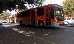 Homenagem aos clubes de Lions é indicada por PL