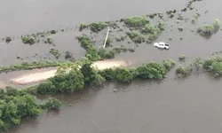 Prorrogado prazo para inscrição no programa de Sementes Forrageiras de inverno e verão