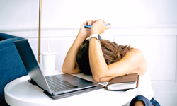 Indicadores da dengue seguem estáveis em dezembro