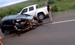 Polícia Civil prende suspeito pela morte de Elton John