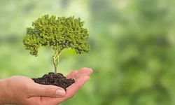 Uruguaiana vacinará pessoas com 40 anos ou mais na segunda