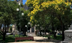 Campanha da Fraternidade é tema de reunião