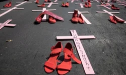 Aplicativo alerta a população para golpes