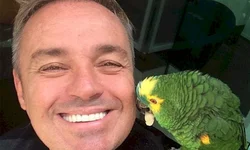 Museu da Comunicação promove ciclo de seminários online