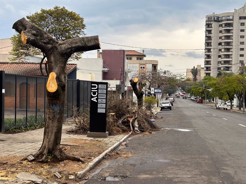 Risco para galeria pluvial gera poda e corte de árvores na Quinze