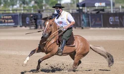 Foi dada a largada à Marcha de Resistência do Cavalo Crioulo