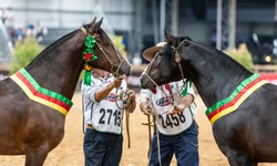 Projeto de hidroginástica atende mais de 100 pessoas