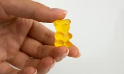 Cientistas testam vacinas contra a gripe aviária