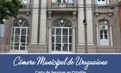 Afonso Hamm propõe reclassificação do vinho como alimento