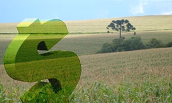 Exportações de arroz em 2018 já superam o total de 2017