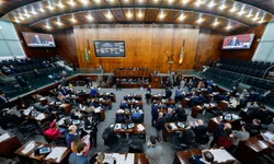 Câmara homenageou cidadãos destaques pela preservação do nativismo