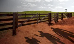 Templo é alvo de pichações homofóbicas