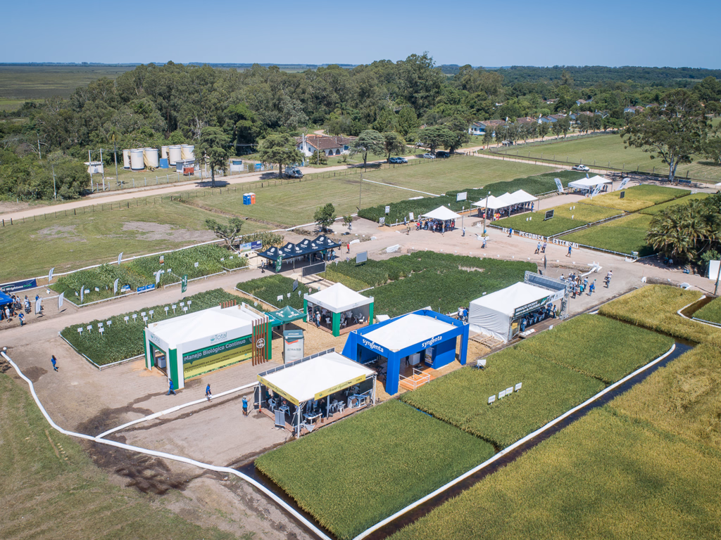 Vitrines Tecnológicas apresentam inovações para as lavouras gaúchas