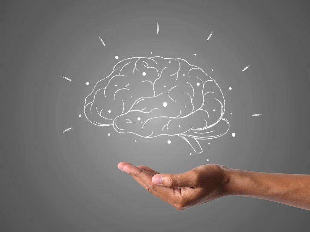 Curso de Neurociência divulga programação oficial