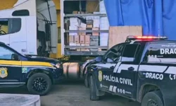 Idoso morre após ataque de cães