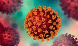 Anvisa aprova medicamento que reduz risco de morte em até 89%