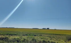 Banco de Sangue está com estoque crítico