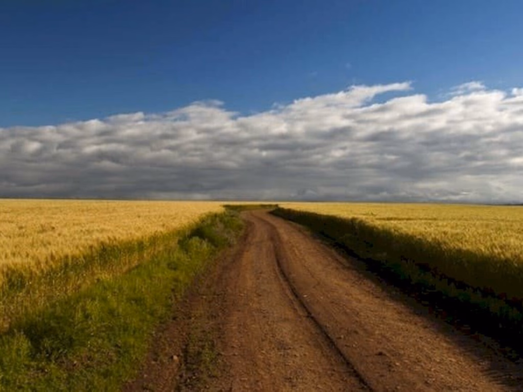 RS terá tempo seco e temperaturas amenas nos próximos sete dias