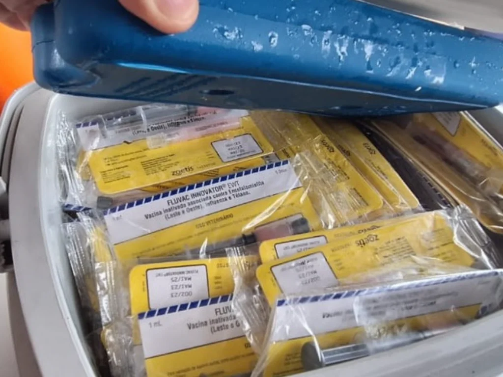 Vacinas são apreendidas na fronteira entre Libres e Uruguaiana