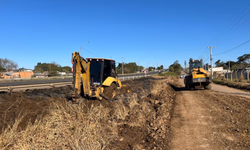 Rede de articulação com os municípios é prioridade, diz Secretária