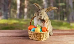 Começa a Feira de Páscoa, com oferta de chocolates e artesanatos