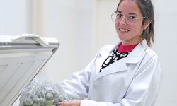 Cursos técnicos gratuitos do IFFar têm inscrições abertas até dia 30  