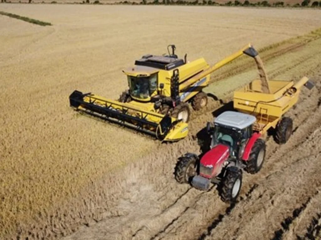 Rio Grande do Sul colheu 79,3% da lavoura de arroz
