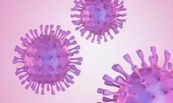 Pagode do Balaka será na sede d’Os Rouxinóis