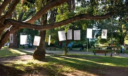 Pré-selecionados no Fies devem complementar inscrição até amanhã